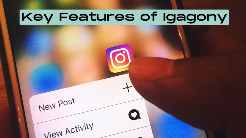 Key Features of Igagony